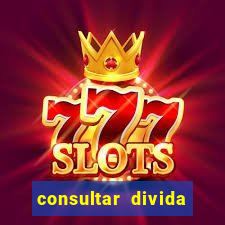 consultar divida casas bahia